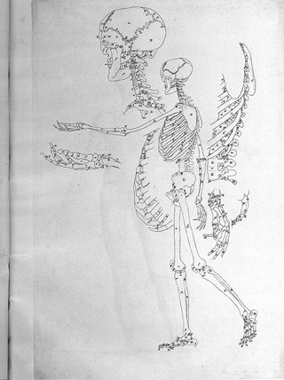 The anatomy of painting; or a short and easy introduction to anatomy: being a new edition of the six tables of Albinus ... With an introduction, giving a short view of picturesque anatomy / by J. Brisbane.