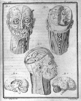 Histoire naturelle, générale et particuliére, avec la description du cabinet du roi / [Georges Louis Leclerc Buffon].