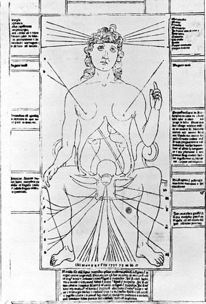 view Anatomical fugitive sheet, female, 1495