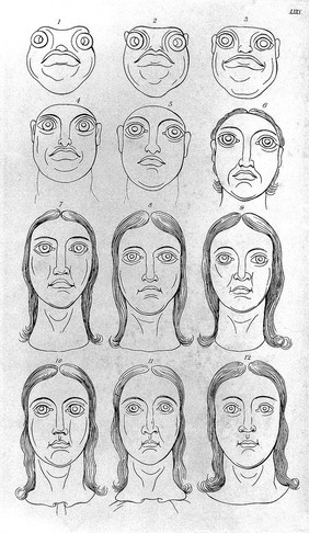 Essays on physiognomy : designed to promote the knowledge and the love of mankind / Written in the German language by John Caspar Lavater, and translated into English by Thomas Holcroft. To which are added, one hundred physiognomonical rules, a posthumous work by Mr. Lavater; and memoirs of the life of the author, compiled principally from the life of Lavater, by G. Gessner.