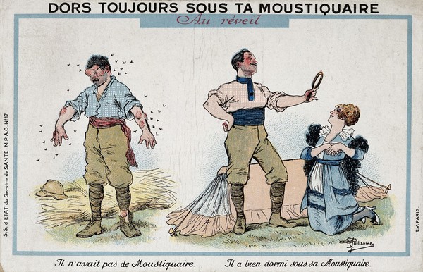 The benefit of taking quinine. Chromolithograph by A. Guillaume.