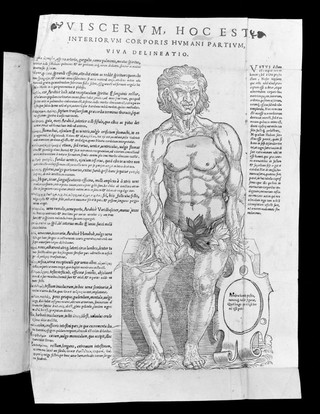 Vivae imagines partium corporis humani aereis formis expressae.