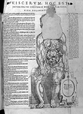 Vivae imagines partium corporis humani aereis formis expressae.