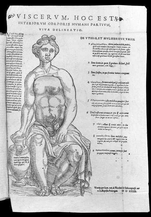 Anatomical fugitive sheet, 1566