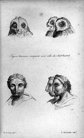 L'art de connaître les hommes par la physionomie ... / par M. Moreau.