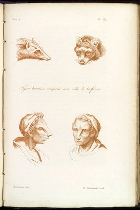 L'art de connaître les hommes par la physionomie ... / par M. Moreau.