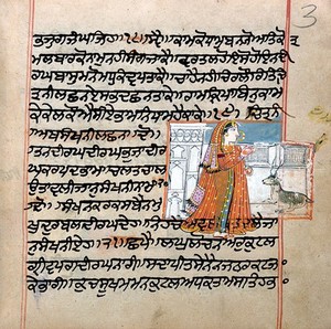 view Panjabi Manuscript 256