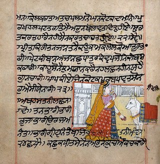 Panjabi Manuscript 256