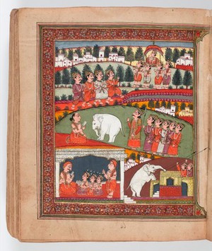 view Panjabi Manuscript 255