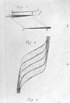 Tractatus quinque medico-physici / Quorum primus agit de sal-nitro et spiritu nitro-aereo. Secundus de respiratione. Tertius de respiratione foetus in utero, et ovo. Quartus de motu musculari, et spiritibus animalis. Ultimus de rhachitide [sic].