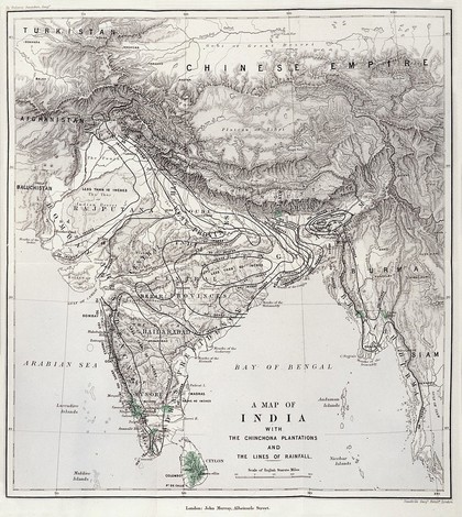 Peruvian bark : a popular account of the introduction of chinchona cultivation into British India, 1860-1880 / by Clements R. Markham.