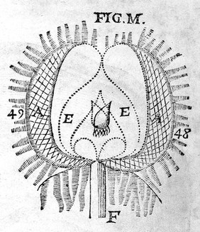 L'homme ... et un traitté de la formation du fœtus. Du mesme autheur / Avec les remarques de Louys de la Forge ... sur le traitté de l'homme.