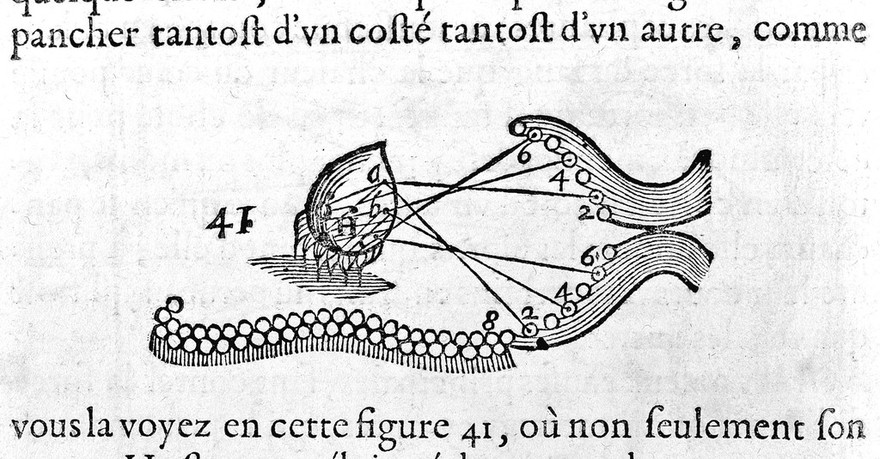 L'homme ... et un traitté de la formation du fœtus. Du mesme autheur / Avec les remarques de Louys de la Forge ... sur le traitté de l'homme.