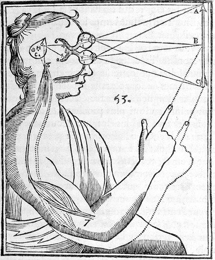 L'homme ... et un traitté de la formation du fœtus. Du mesme autheur / Avec les remarques de Louys de la Forge ... sur le traitté de l'homme.