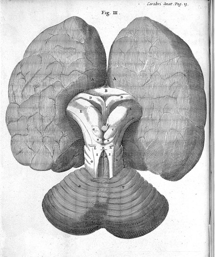 Opera omnia. Nitidius, quam unquam hactenus edita, plurimum emendata, indicibus rerum copiosissimis, ac distinctione characterum exornata / Studio et opera Gerardi Blasii.