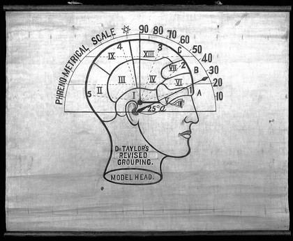 Phrenology: the human and animal brain, the location of its functions according to the principles of phrenology, and personalia of phrenologists. Photographs, drawings and newsletters.