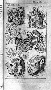 Anatomia reformata; sive concinna corporis humani dissectio, ad neotericorum mentem adornata, plurimisque tabulis chalcographicis illustrata / accedit ejusdem authoris de balsamatione nova methodus. A nemine antehac hoc modo descripta.