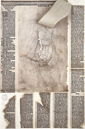 Woodcut, Anatomical Fugitive Sheet, c.1540