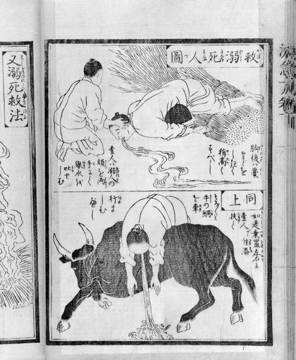 MS Japanese 25