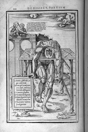 De dissectione partium corporis humani libri tres / à Carolo Stephano, ... Una cum figuris et incisionum declarationibus, a Stephano Riverio chirurgo compositis.