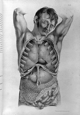 Surgical anatomy / by Joseph Maclise.