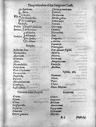 The surgions mate, or a treatise discovering ... the due contents of the surgions chest, the uses of the instruments, the vertues and operations of the medicines, the cures of the most frequent diseases at sea ... with a briefe explanation of sal, sulphur, and mercury; with certaine characters, and tearmes of arte / [John Woodall].