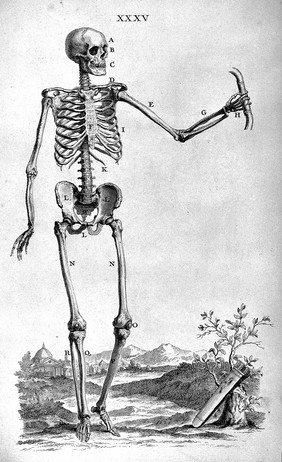 W. Cheselden, Ostoegraphia, or the anatomy of bones