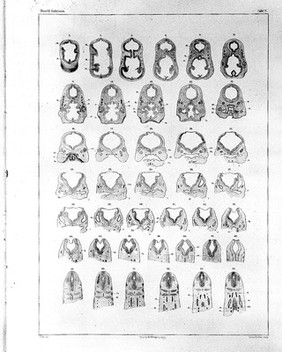 Anatomie menschlicher Embryonen / von Wilhelm His.