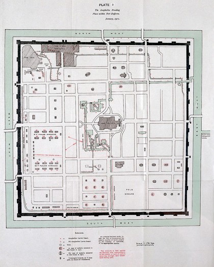Studies in malaria / by Hugh Stott.