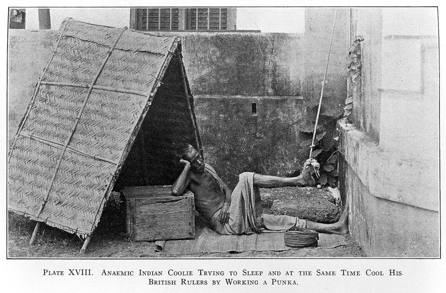 The human habitat / Ellsworth Huntington.