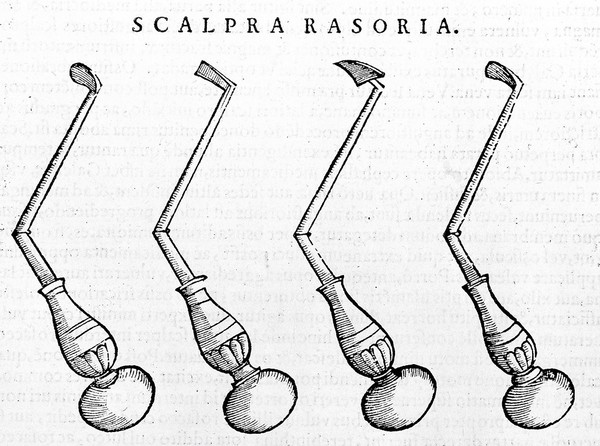 Chirurgiae ... libri septem, quamplurimis instrumentorum imaginibus arti chirurgicae opportunis suis locis exornata, theoricam, practicam, ac verissimam experientiam continentes ... Nunc primum in lucem editi ... / [Giovanni Andrea della Croce].