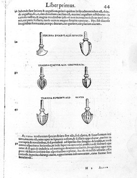 Chirurgiae ... libri septem, quamplurimis instrumentorum imaginibus arti chirurgicae opportunis suis locis exornata, theoricam, practicam, ac verissimam experientiam continentes ... Nunc primum in lucem editi ... / [Giovanni Andrea della Croce].