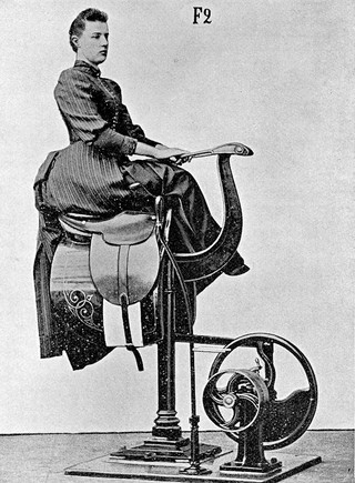 The leading features of Dr. G. Zander's medico-mechanical gymnastic method and its use in four separate treatises / by A. Levertin [and others] ; with some directions for the establishment of gymnastic institutes on this method / by Rossel, Schwarz & Co.