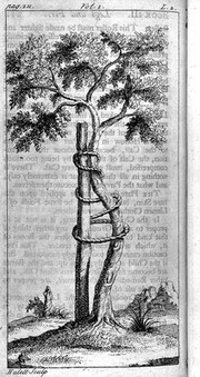 Orthopaedia; or, the art of correcting and preventing deformities in children. By such means, as may easily be put in practice by parents themselves, and all such as are employed in educating children. To which is added a defence of the Orthopaedia [against Pierre François Guyot Desfontaines] by way of supplement / by the author. Translated from the French.