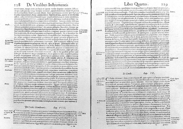 Anatome corporis humani ... / Nunc primum a Michaele Columbo latine reddita, et additis novis aliquot tabulis exornata.