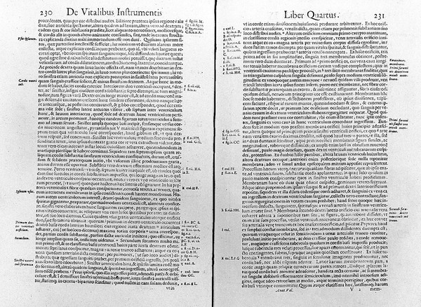 Anatome corporis humani ... / Nunc primum a Michaele Columbo latine reddita, et additis novis aliquot tabulis exornata.