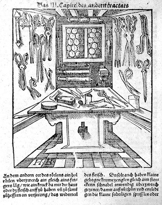 Chirurgia, das ist, Handwürckung der Wundartzney M. Hieronymi Braunschweig : wie er die von vil erfarnen Artzeten gelernet, und in seiner Practica löblich gebraucht hat. Mit sonderm Fleyss von newem wider aussgangen.