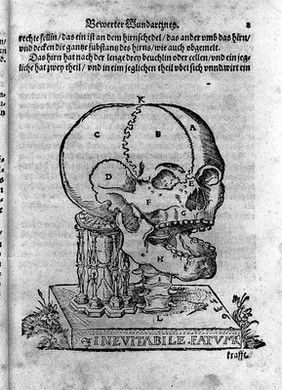 Neuw Feldt und Stattbuch bewerter Wundtartzney, jetzt widerumb mit sonderm Fleiss ersehen. Zu sampt dem Antidotari. Fürsorg und Vorrath der Chirurgey / beschrieben von weilandt H. Vualthero Ryffio.