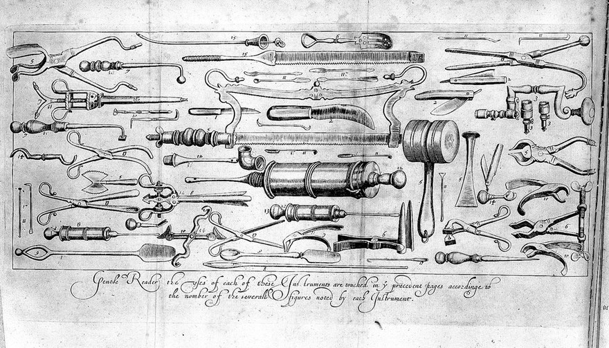 The surgeons mate, or, Military & domestique surgery : discovering ... ye method and order of ye surgeons chest, ye uses of the instruments, the vertues and operations of ye medicines, with ye exact cures of wounds made by gun-shott, and otherwise ... with a treatise of ye cure of ye plague ... / John Woodal.