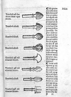 Tractatus de fractura calve sive cranei / a Carpo editus.