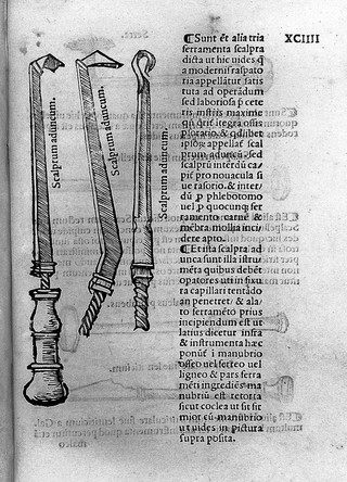 Tractatus de fractura calve sive cranei / a Carpo editus.