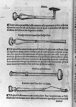 Tractatus de fractura calve sive cranei / a Carpo editus.