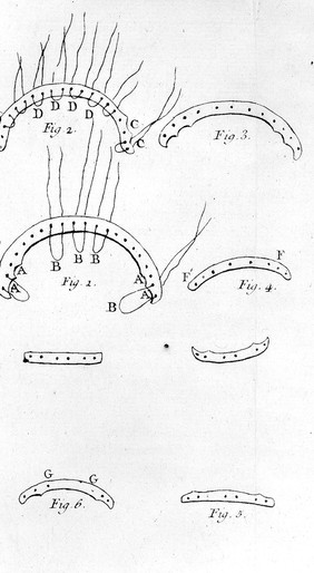 Recherches et observations sur toutes les parties de l'art du dentiste / Par M. Bourdet.