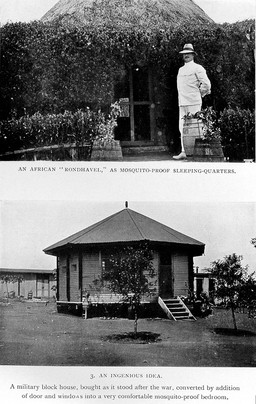 The prevention of malaria / by Ronald Ross ; with contributions by L.O. Howard [and others].