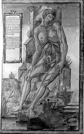 A male écorché seated, exposing his abdomen, with his bladder, rectum and anus on a ledge beside him. Woodcut by François Jollat, 1545, after Étienne de La Rivière and Charles Estienne.