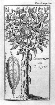 Nouveau voyage aux isles de l'Amerique, contenant l'histoire naturelle de ces pays, l'origine, les mœurs, le religion & le gouvernement des habitans anciens et modernes. Les guerres & les evenemens singuliers qui y sont arrivez pendant le séjour que l'auteur y a fait / Par le r. p. Labat.