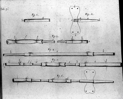 Tractatus de corde. Item de motu & colore sanguinis et chyli in eum transitu ... / [Richard Lower].