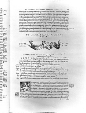 Andreae Vesalii Bruxellensis, scholae medicorum Patauinae professoris De humani corporis fabrica libri septem.