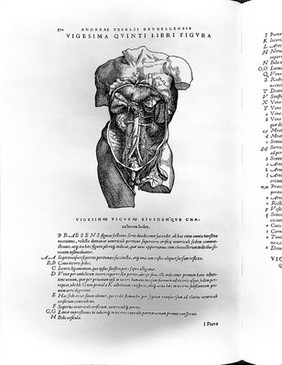 Andreae Vesalii Bruxellensis, scholae medicorum Patauinae professoris De humani corporis fabrica libri septem.