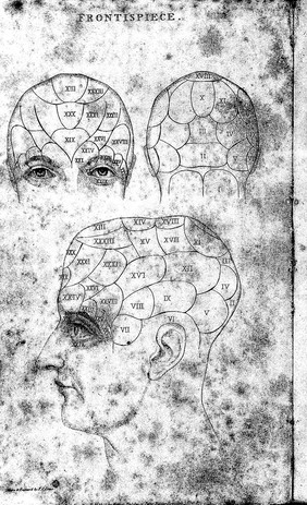 The physiognomical system of Drs. Gall and Spurzheim; founded on an anatomical and physiological examination of the nervous system in general, and of the brain in particular; and indicating the dispositions and manifestations of the mind / Being at the same time a book of reference for Dr. Spurzheim's demonstrative lectures.